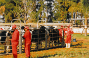 Lausanne 1982 01